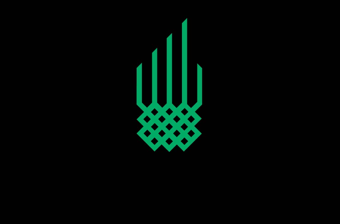 Aga Khan Foundation logo