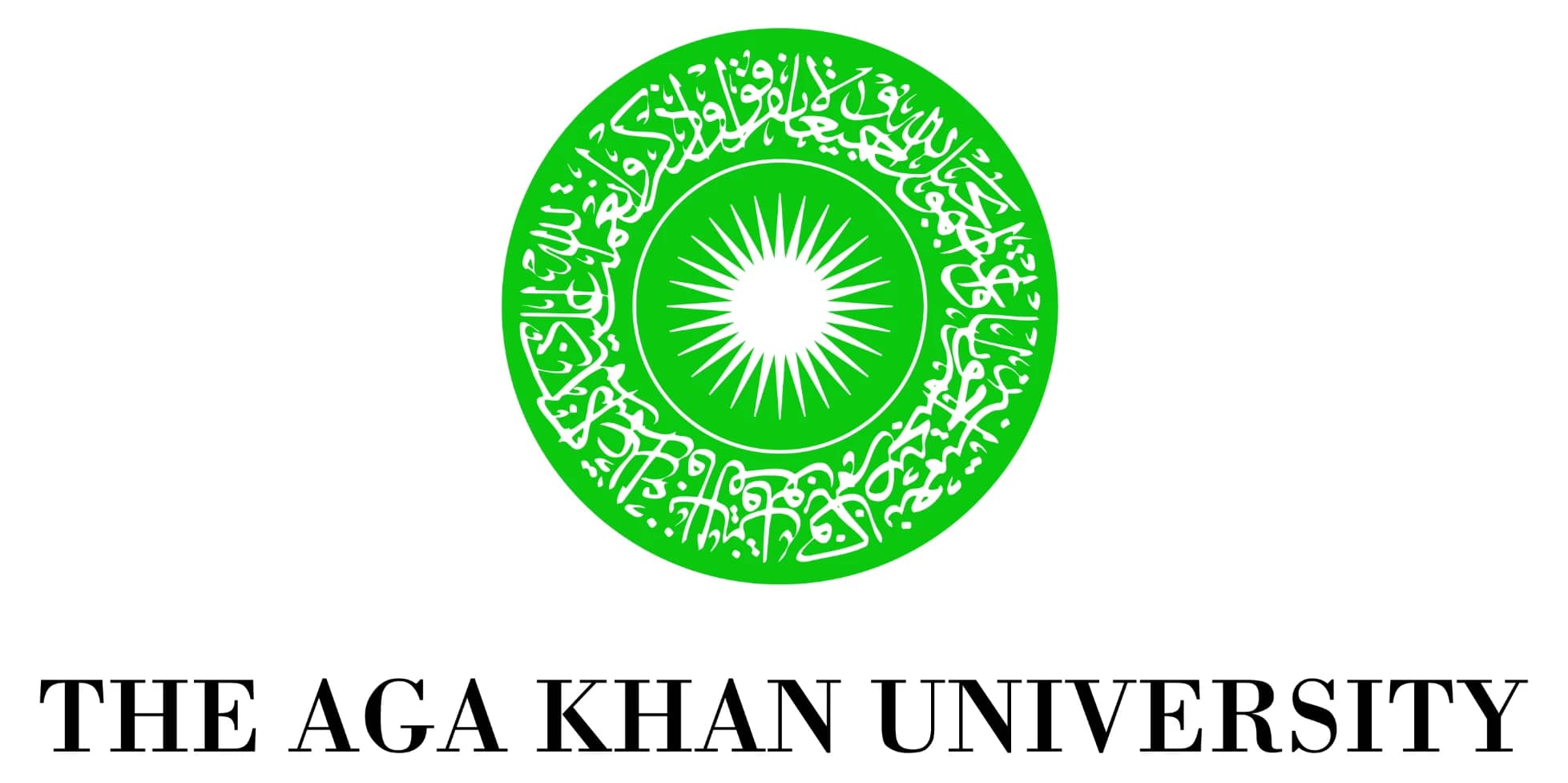 Official Logo logo