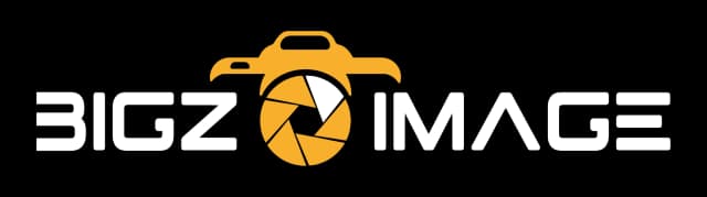 BigzImage logo